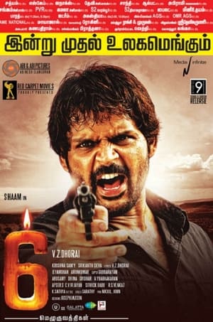 6 Candles (2013) Hindi Dubbed | Hindi Dubbed Movie HDRip 350MB